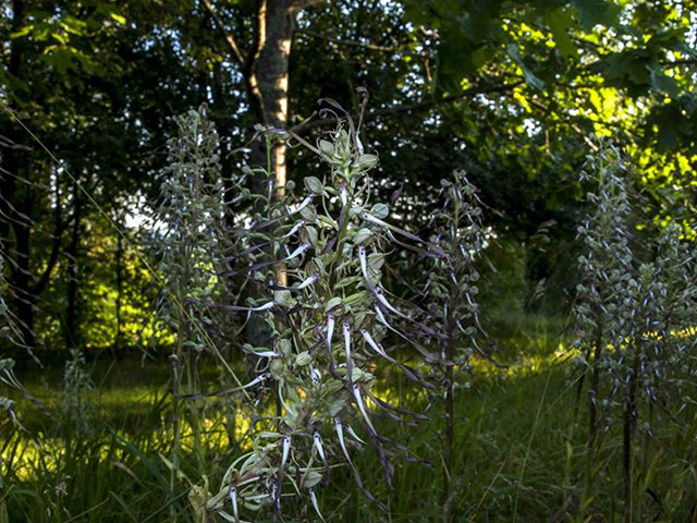 Le Périgord en été