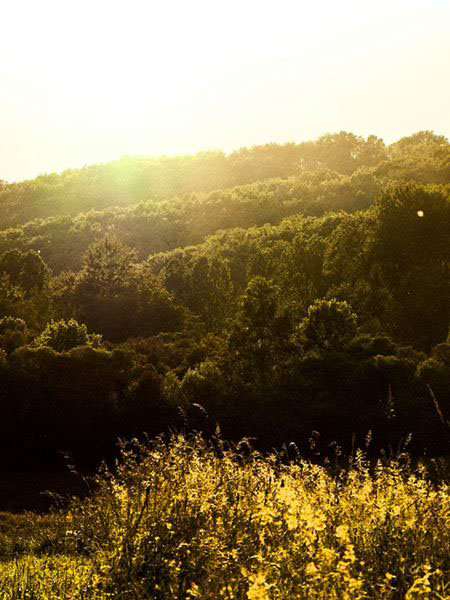 Le Périgord en été