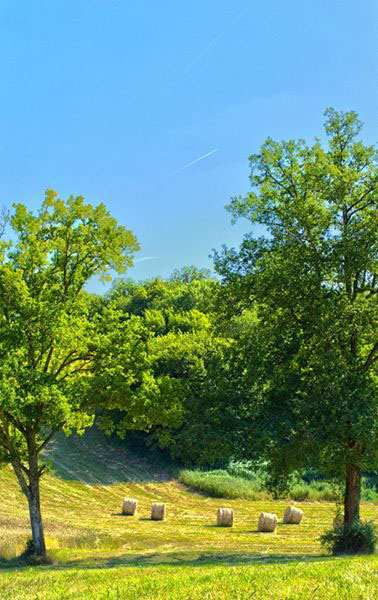 Le Périgord en été