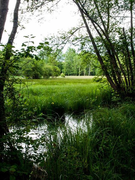 Le Périgord en été