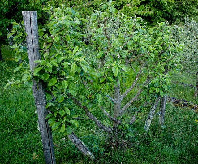 Le Périgord en été